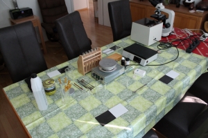 Workshop